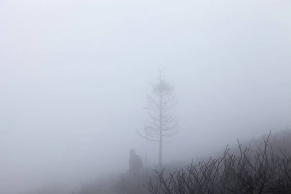 Giorno Freddo Nebbioso Dopo Incendio Boschivo Sulla Vecchia Montagna Serbia — Foto Stock