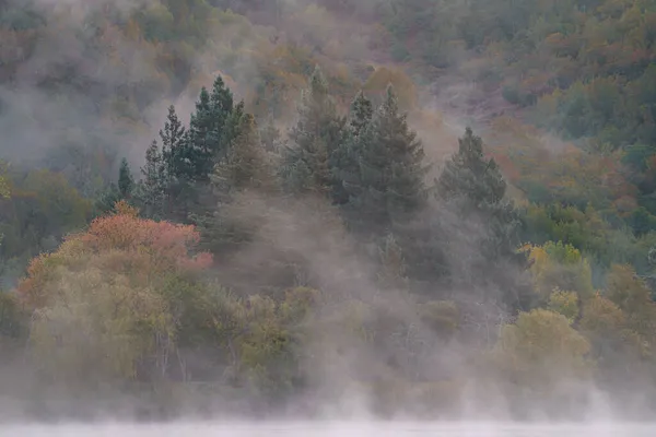 Beautiful Shot Trees Mountainside Covered Mist Spring Lake Santa Rosa — Stock Photo, Image