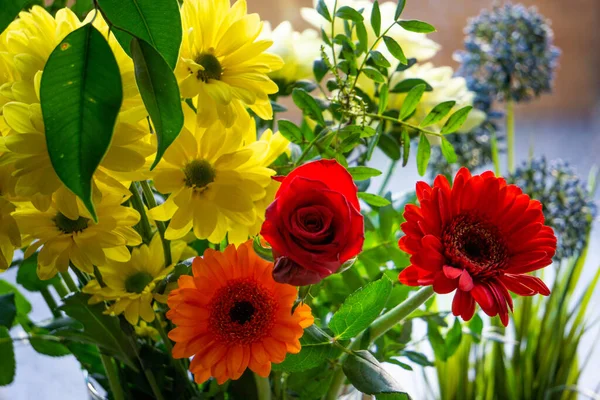 Gyönyörű Színes Virágcsokor Tavasszal — Stock Fotó