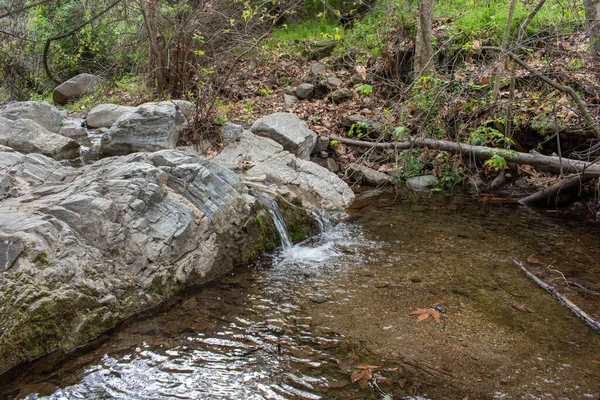 Ormandaki Nehir Büyük Dalton Kanyonu Glendora — Stok fotoğraf