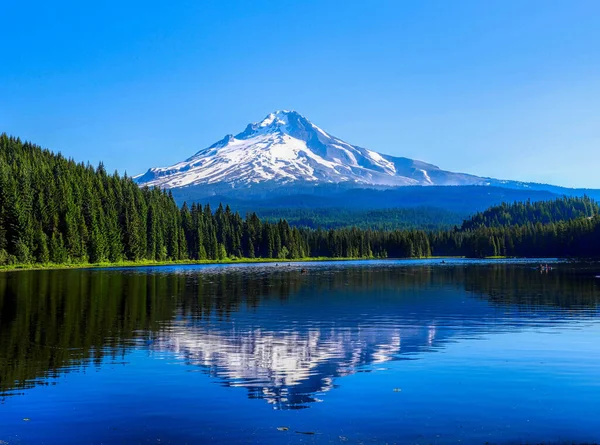 Mount Hood Reflectie Trillium Lake Verenigde Staten — Stockfoto