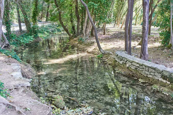自然に囲まれた森の中の川の景色 — ストック写真