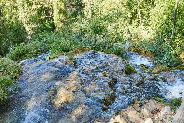 自然に囲まれた森の中の川の景色 — ストック写真