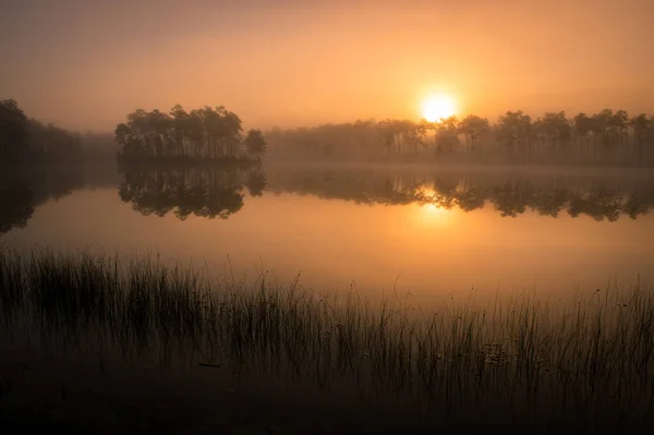 Una Silueta Árboles Que Rodean Lago Atardecer —  Fotos de Stock