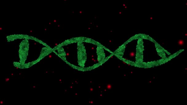 Dna Molekyl Genetisk Struktur Illustrasjon – stockvideo