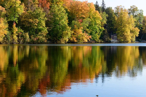 Krásný Záběr Jezero Obklopené Pestrobarevnými Stromy Během Dne — Stock fotografie