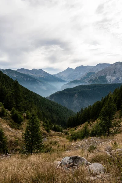 Una Vista Ipnotizzante Montagne Dense Conifere Sotto Cielo Nuvoloso — Foto Stock