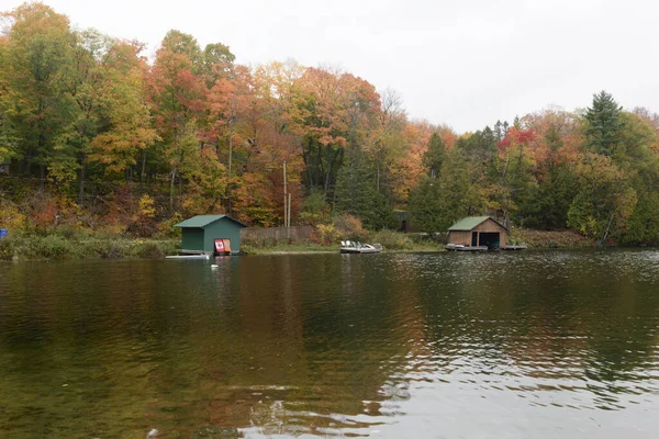 Beau Cliché Lac Entouré Arbres Colorés Pendant Journée — Photo