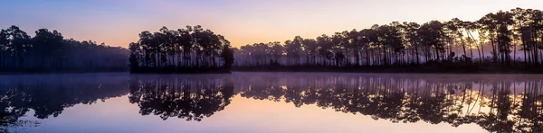 Μια Σιλουέτα Δέντρων Που Περιβάλλουν Μια Λίμνη Στο Ηλιοβασίλεμα — Φωτογραφία Αρχείου