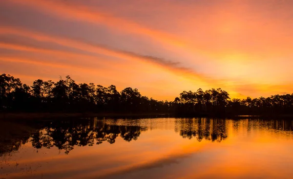 日落时湖面周围树木的轮廓 — 图库照片
