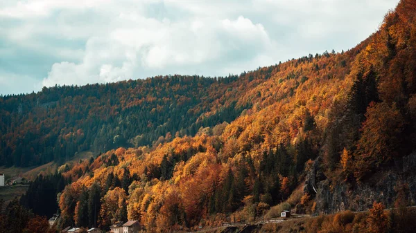 Uma Bela Vista Árvores Montanhas Floresta Com Cores Temporada Outono — Fotografia de Stock