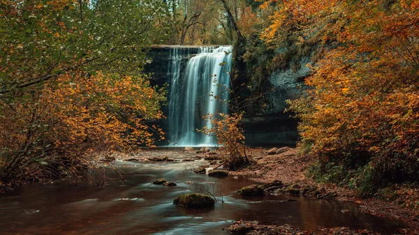 Eine Schöne Landschaft Von Einem Wasserfall Einem Wald Mit Bäumen — Stockfoto