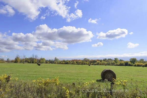 Een Prachtig Schot Van Een Veld Onder Bewolkte Luchten — Stockfoto