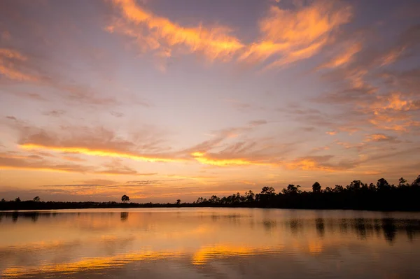 Eine Baumsilhouette Die Einen See Bei Sonnenuntergang Umgibt — Stockfoto