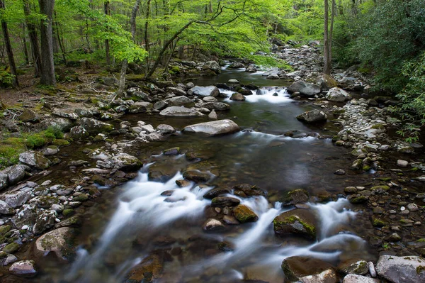 Ein Fluss Fließt Einem Wald — Stockfoto