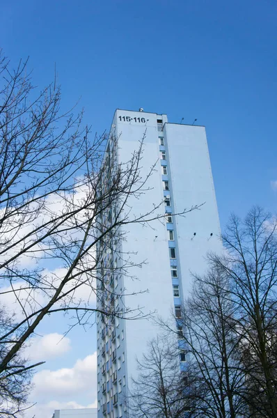 Poznan Polen März 2014 Eine Vertikale Aufnahme Eines Blattlosen Baumes — Stockfoto