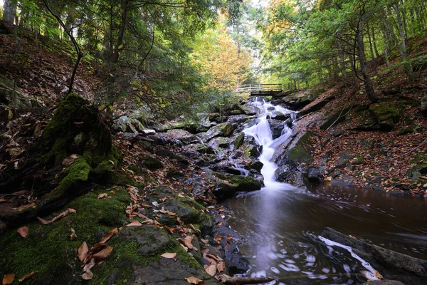 Una Hermosa Toma Una Cascada Medio Bosque — Foto de Stock