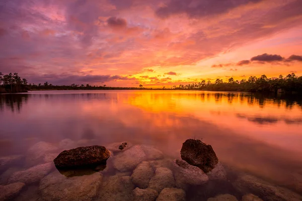 Силует Дерев Оточують Озеро Заході Сонця — стокове фото