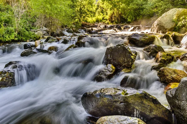 Beautiful Flowing River Stones Park — Stock fotografie