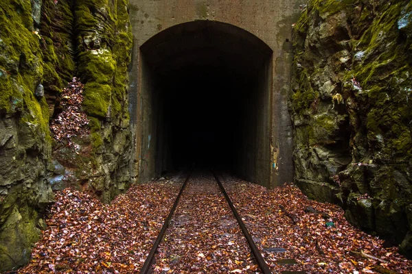 Railway Leading Dark Narrow Tunnel Surrounded Moss Covered Rocks — Stock Photo, Image