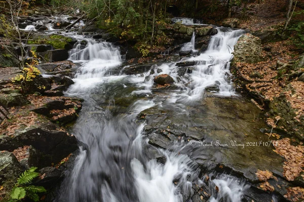 Beautiful Shot Waterfall Middle Forest — Stock Photo, Image