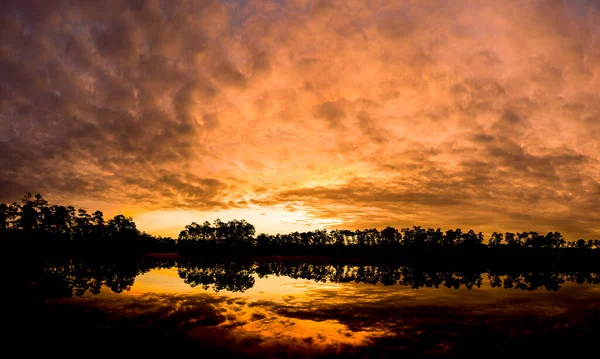 Uma Silhueta Árvores Redor Lago Pôr Sol — Fotografia de Stock