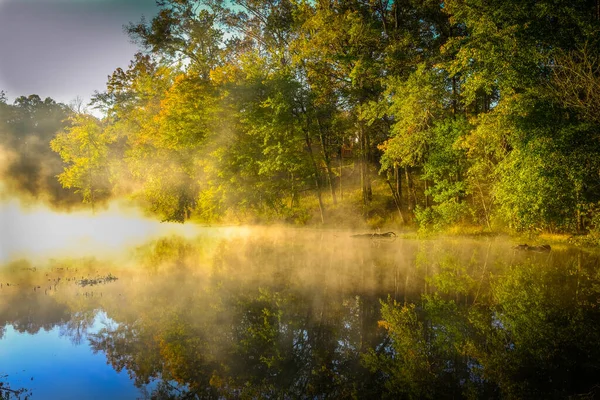Uma Bela Vista Lago Com Reflexo Das Árvores Circundantes Luz — Fotografia de Stock