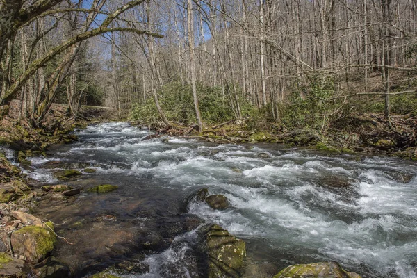 Flod Great Smoky Mountains National Park Gatlinburg Usa - Stock-foto