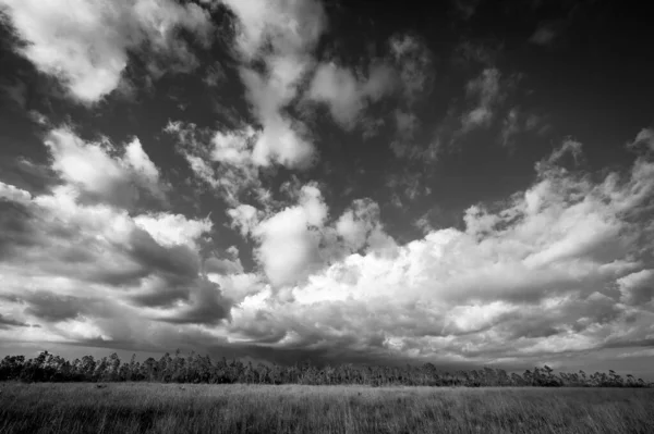 Una Scala Grigi Bellissimo Paesaggio Nuvoloso Sul Campo — Foto Stock