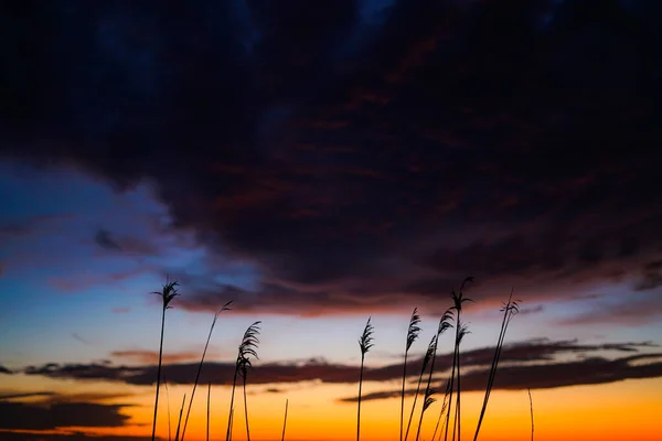 Una Hermosa Vista Del Cielo Del Atardecer Sobre Paisaje — Foto de Stock