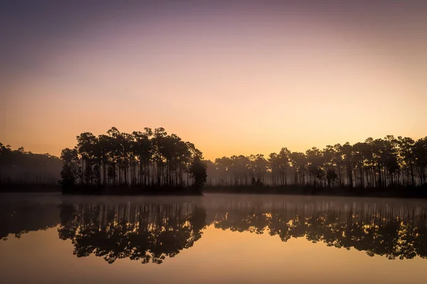 Μια Σιλουέτα Δέντρων Που Περιβάλλουν Λίμνη Στον Ήλιο — Φωτογραφία Αρχείου