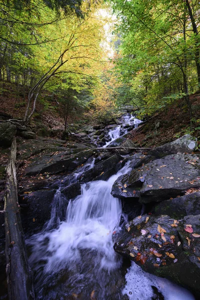 Una Hermosa Toma Una Cascada Medio Bosque —  Fotos de Stock