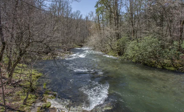Une Rivière Dans Parc National Great Smoky Mountains Gatlinburg Usa — Photo