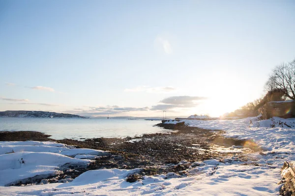 Vacker Utsikt Över Frusna Snöiga Områden Oslo Norge — Stockfoto
