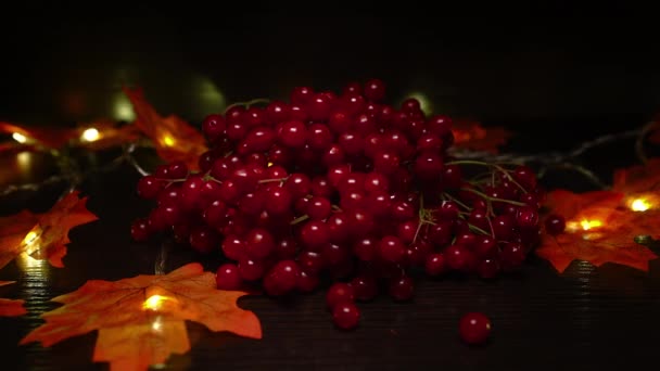 Christmas Decoration Red Berries Dark Background — Stock Video