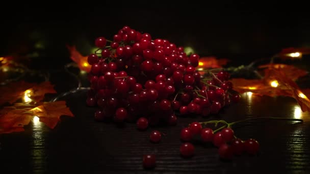 Fresh Red Berries Dark Background — Stock Video