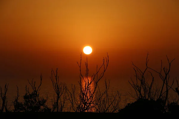 Belo Céu Por Sol Sobre Mar Com Ramos Primeiro Plano — Fotografia de Stock