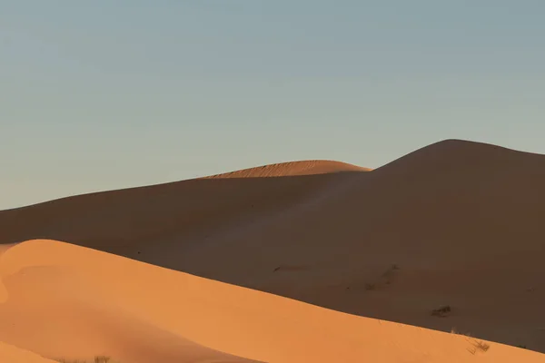 Hipnotyzujący Widok Pustynnych Wydm Suchej Saharze Słoneczny Dzień — Zdjęcie stockowe