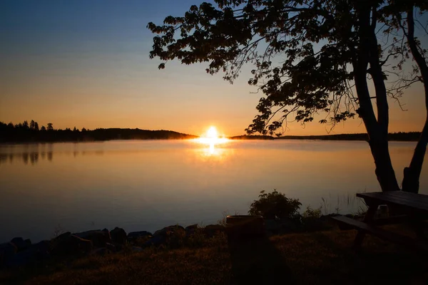 Una Vista Mare Calmo Con Albero Primo Piano Bel Tramonto — Foto Stock