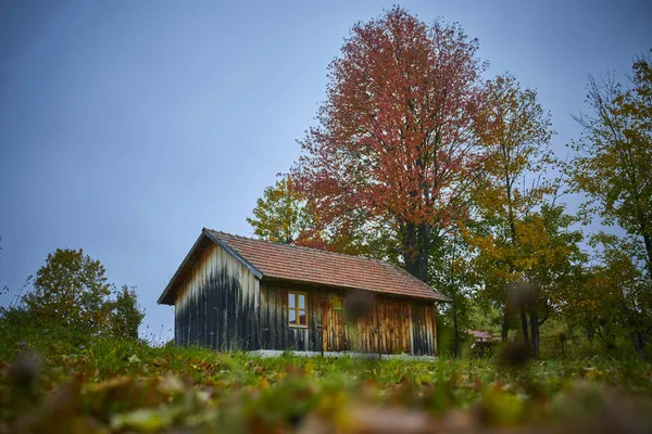 Uma Vista Panorâmica Uma Antiga Casa Madeira Floresta Durante Outono — Fotografia de Stock