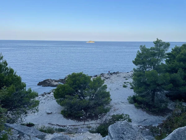Ein Atemberaubender Blick Auf Das Meer Mit Grünen Bäumen Ufer — Stockfoto