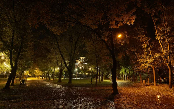 Una Vista Panoramica Degli Alberi Parco Durante Una Notte Autunno — Foto Stock