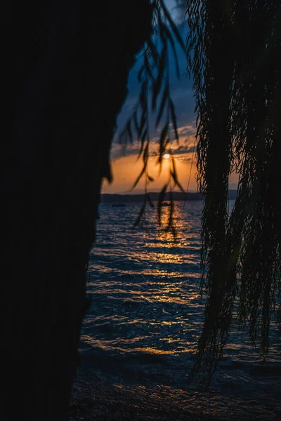 Veduta Verticale Tramonto Sul Lago Garda Attraverso Gli Alberi Italia — Foto Stock