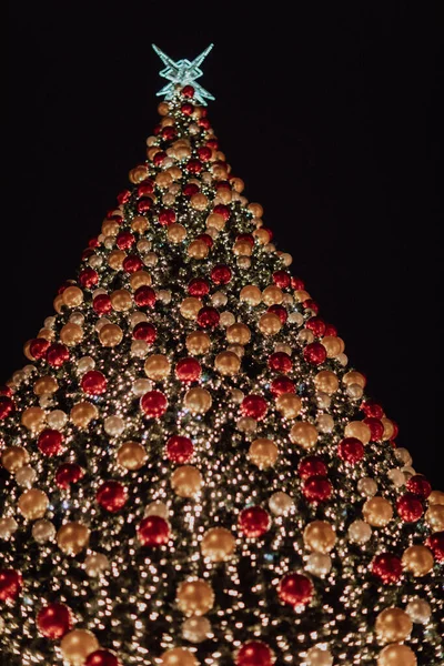 Egy Gyönyörű Kilátás Nyílik Egy Nagy Karácsonyfa Város Főterén — Stock Fotó