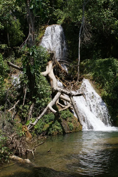 Schöne Aufnahme Eines Wasserfalls Inmitten Eines Waldes Bonito Brasilien — Stockfoto