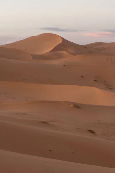 Een Betoverend Uitzicht Zandduinen Een Dorre Woestijn — Stockfoto