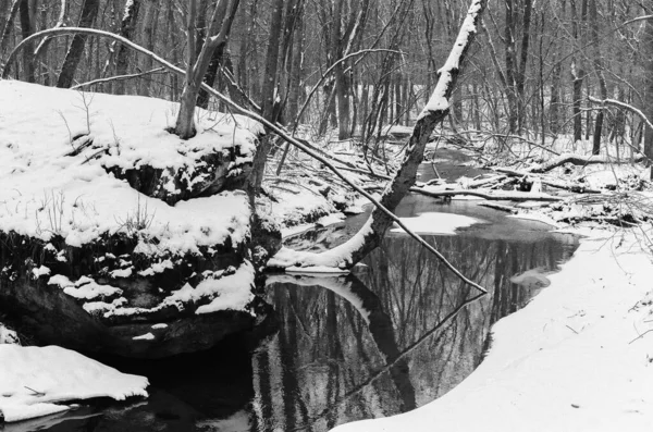 Après Midi Froid Enneigé Long Ruisseau — Photo