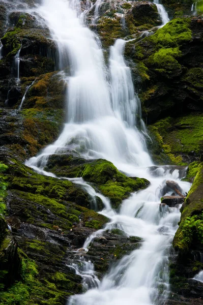 Una Hermosa Cascada Rocas Musgosas — Foto de Stock