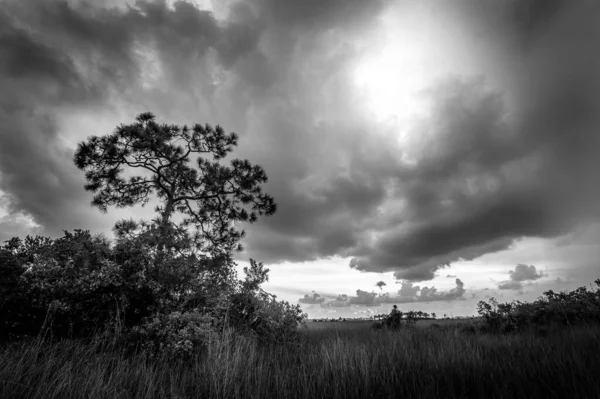 Uma Bela Paisagem Nublada Sobre Campo — Fotografia de Stock