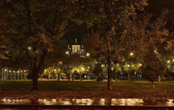 Een Schilderachtig Uitzicht Bomen Een Park Tijdens Een Regenachtige Herfstnacht — Stockfoto